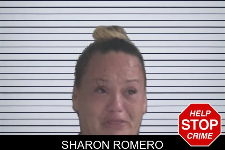 Sharon Romero mugshot – Brantley County , Georgia Sharon Romero