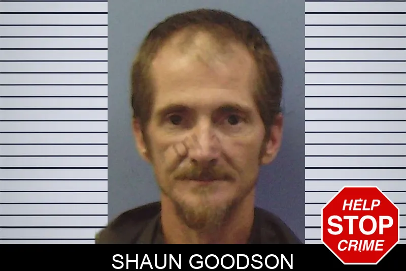 Shaun Goodson mugshot – Chattooga County , Georgia Shaun Goodson mugshot