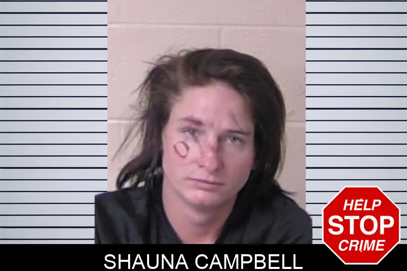 Shauna Campbell mugshot – Walker County , Georgia Shauna Campbell mugshot