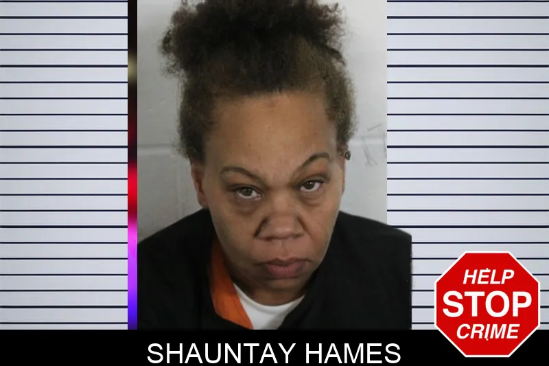 Shauntay Hames mugshot – Floyd County , Georgia Shauntay Hames mugshot