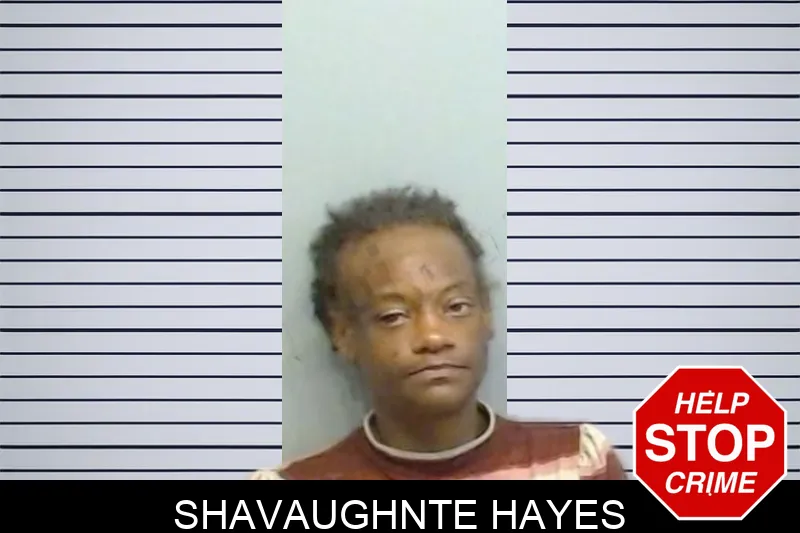 Shavaughnte Hayes mugshot