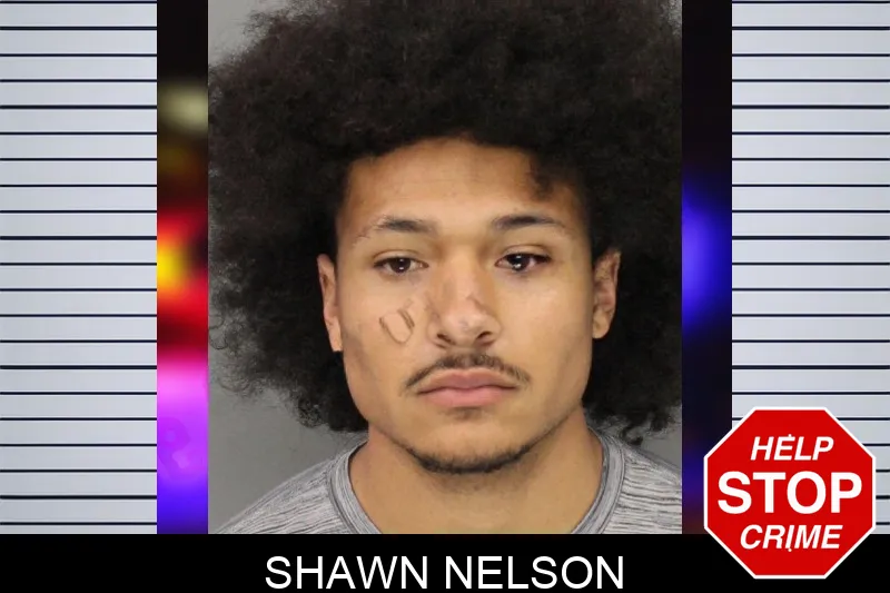 Shawn Nelson mugshot