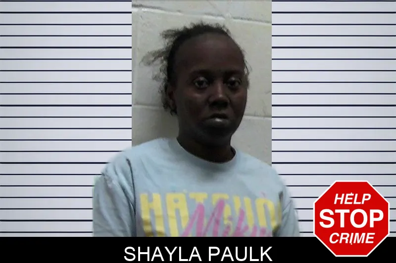 Shayla Paulk mugshot – Pierce County , Georgia Shayla Paulk mugshot