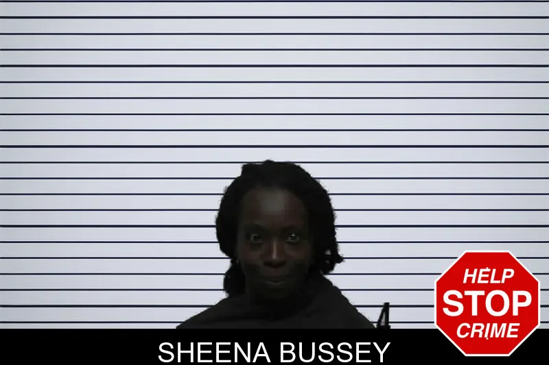 Sheena Bussey mugshot