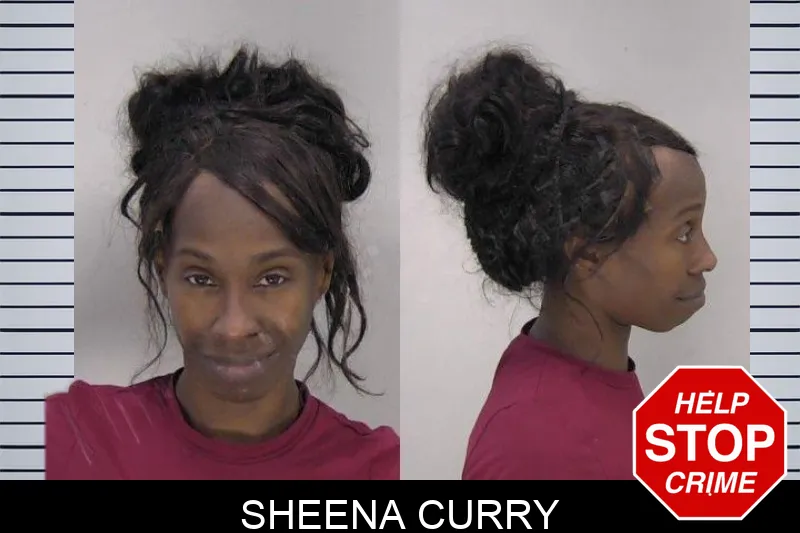 Sheena Curry mugshot – Richmond County , Georgia Sheena Curry mugshot