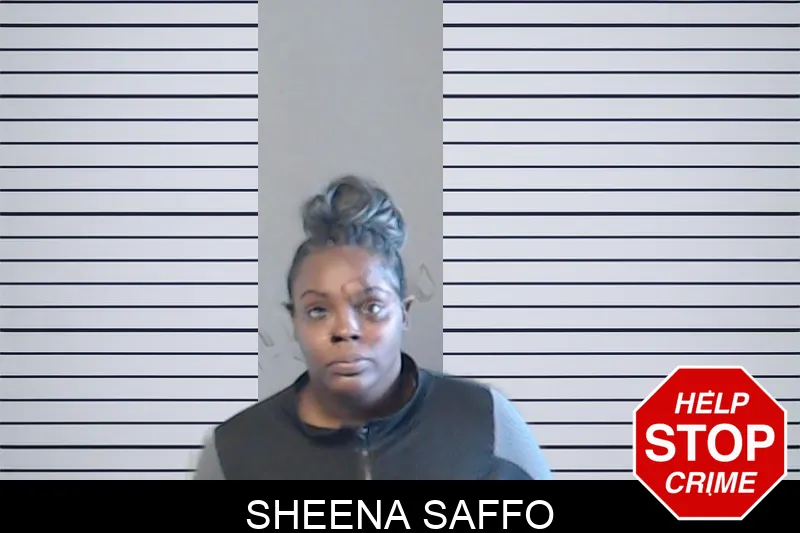 Sheena Saffo mugshot – DeKalb County , Georgia Sheena Saffo mugshot