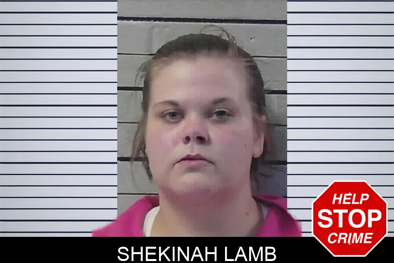 Shekinah Lamb mugshot – Jasper County , Georgia Shekinah Lamb mugshot
