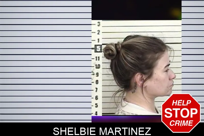 Shelbie Martinez mugshot – Camden County , Georgia Shelbie Martinez mugshot