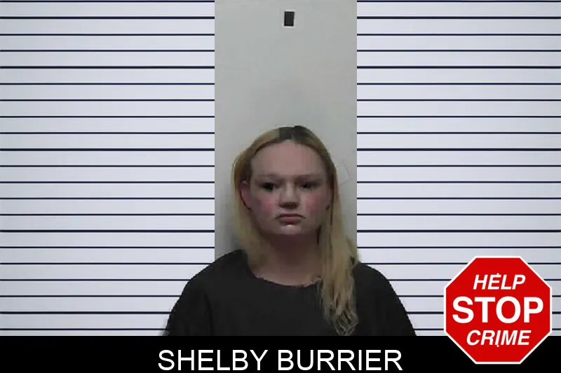 Shelby Burrier mugshot – Pike County , Georgia Shelby Burrier mugshot