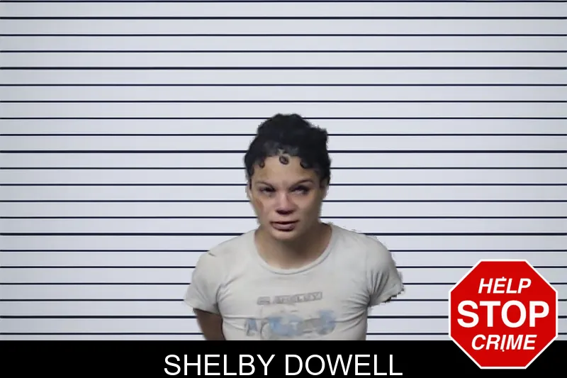 Shelby Dowell mugshot