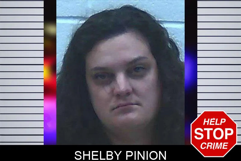 Shelby Pinion mugshot