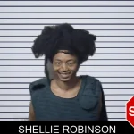 Shellie Robinson mugshot – DeKalb County , Georgia Shellie Robinson mugshot