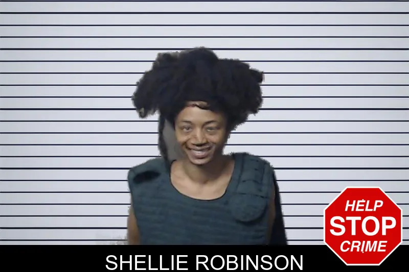 Shellie Robinson mugshot – DeKalb County , Georgia Shellie Robinson mugshot