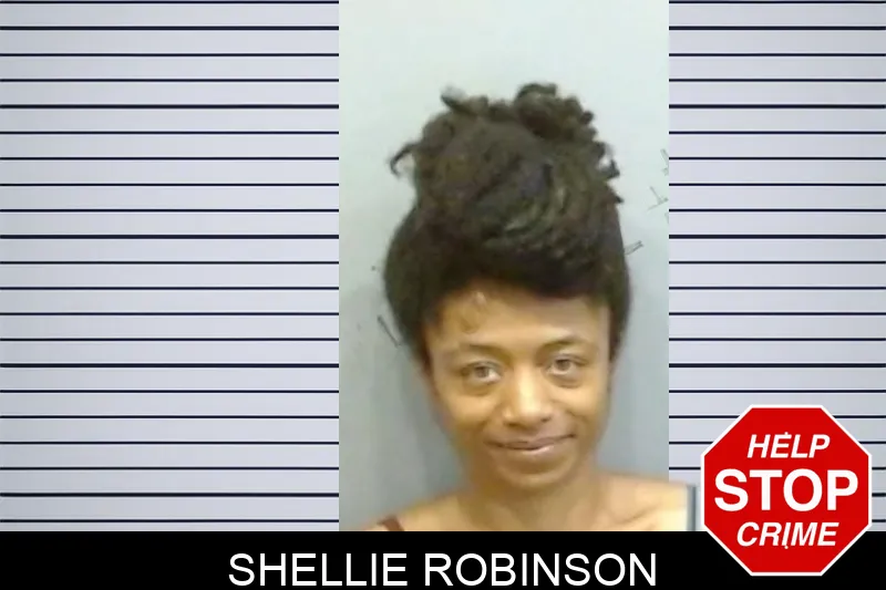 Shellie Robinson mugshot – Fulton County , Georgia Shellie Robinson mugshot