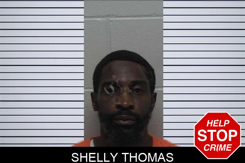 Shelly Thomas mugshot – Laurens County , Georgia Shelly Thomas mugshot