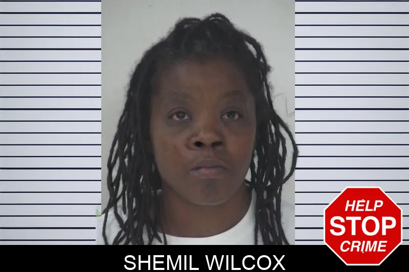 Shemil Wilcox mugshot