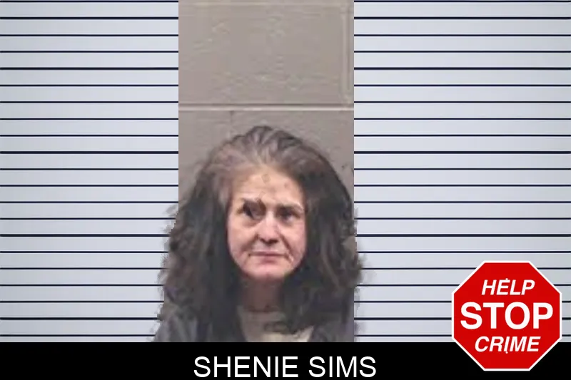 Shenie Sims mugshot – Banks County , Georgia Shenie Sims mugshot
