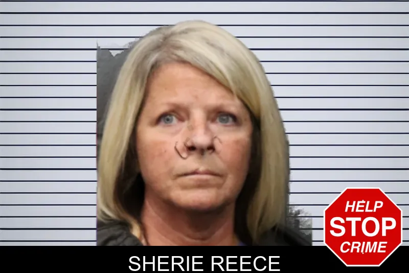 Sherie Reece mugshot – Forsyth County , Georgia Sherie Reece mugshot