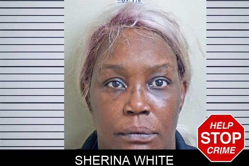Sherina White mugshot – Gwinnett County , Georgia Sherina White mugshot