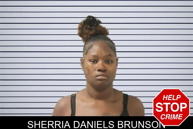 Sherria Daniels Brunson mugshot – Toombs County , Georgia Sherria Daniels Brunson mugshot