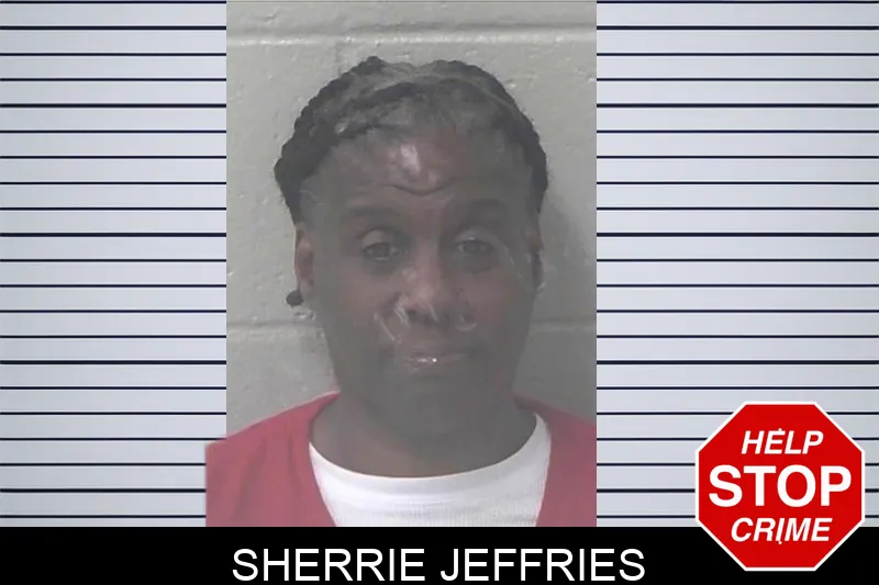 Sherrie Jeffries mugshot – Newton County , Georgia Sherrie Jeffries mugshot