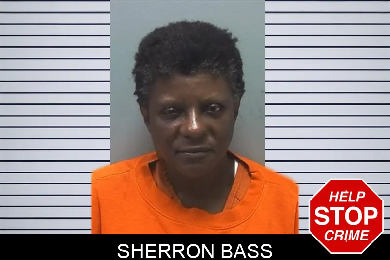 Sherron Bass mugshot – Cherokee County , Georgia Sherron Bass mugshot