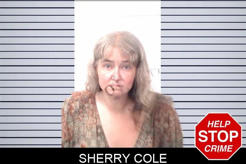 Sherry Cole mugshot – Emanuel County , Georgia Sherry Cole mugshot