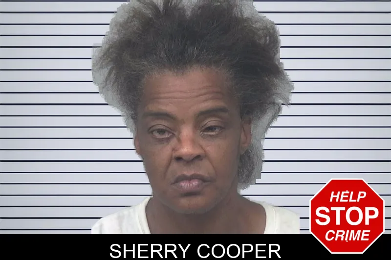 Sherry Cooper mugshot – Gwinnett County , Georgia Sherry Cooper mugshot