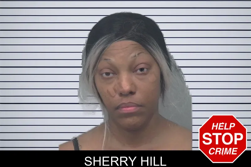 Sherry Hill mugshot – Gwinnett County , Georgia Sherry Hill mugshot