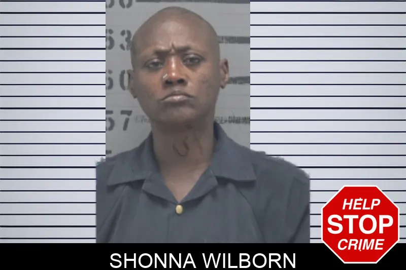 Shonna Wilborn mugshot