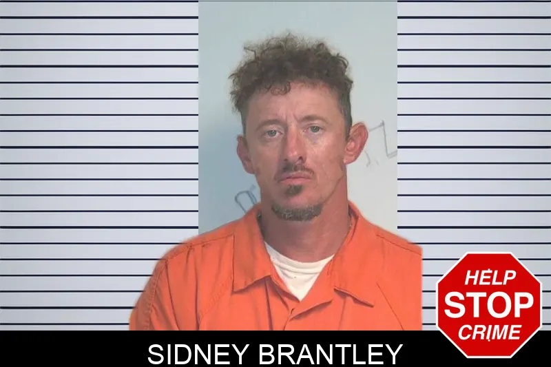 Sidney Brantley mugshot – Berrien County , Georgia Sidney Brantley mugshot