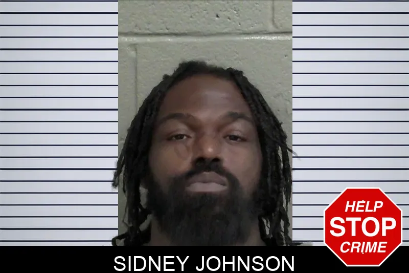 Sidney Johnson mugshot – Wayne County , Georgia Sidney Johnson mugshot