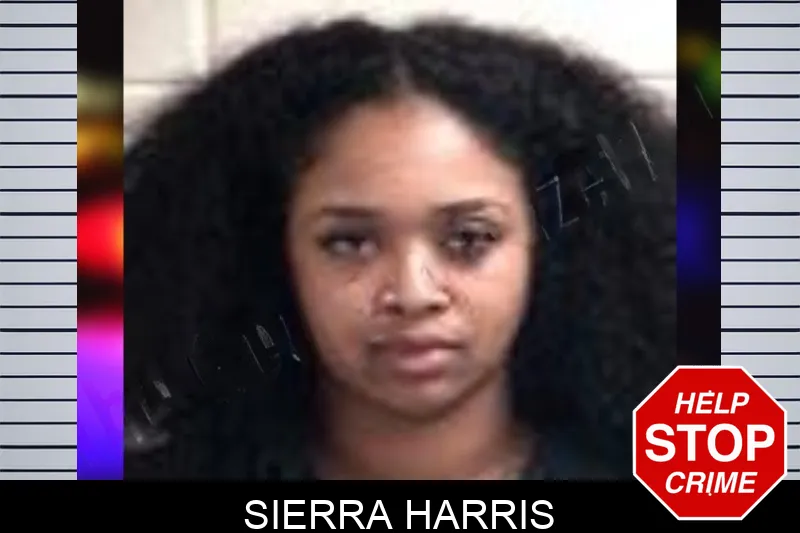 Sierra Harris mugshot – Henry County , Georgia Sierra Harris mugshot