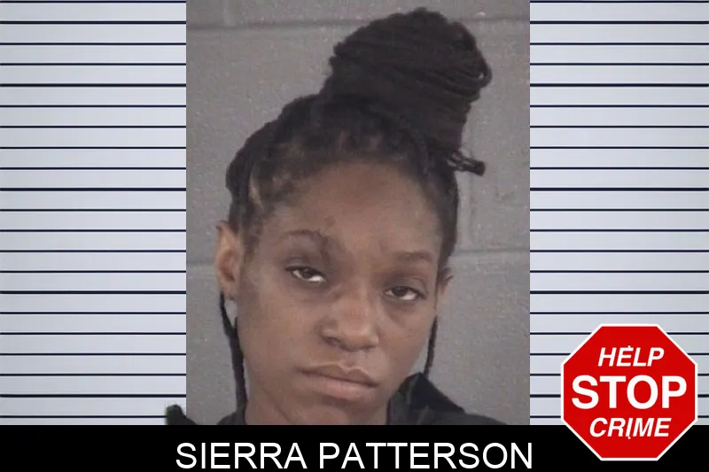 Sierra Patterson mugshot – Spalding County , Georgia Sierra Patterson mugshot