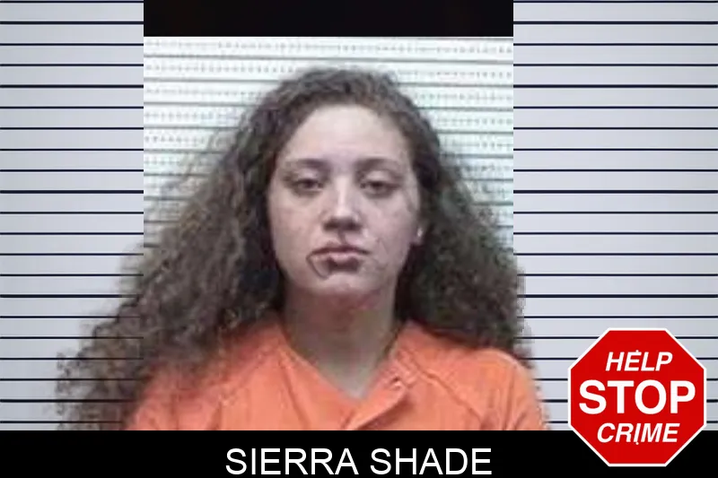 Sierra Shade mugshot – Tattnall County , Georgia Sierra Shade mugshot