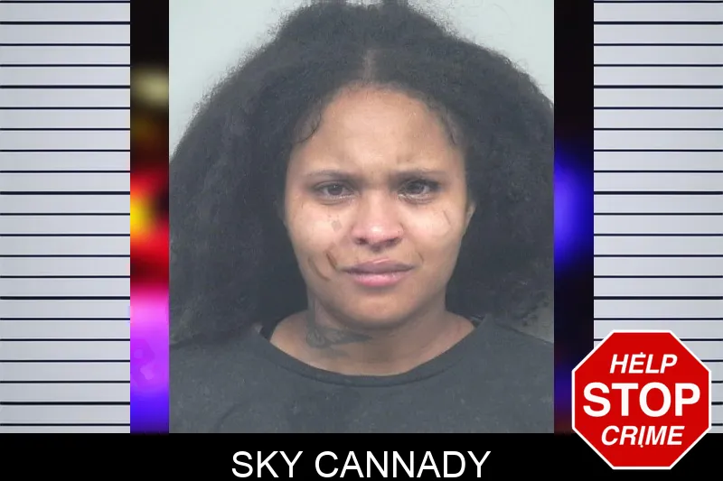 Sky Cannady mugshot – Gwinnett County , Georgia Sky Cannady mugshot