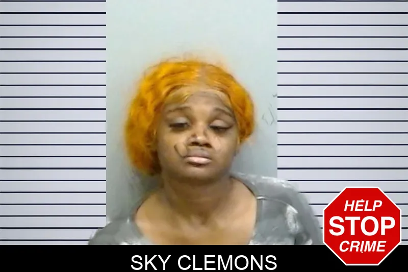 Sky Clemons mugshot – Fulton County , Georgia Sky Clemons mugshot
