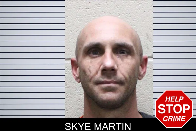 Skye Martin mugshot – Haralson County , Georgia Skye Martin mugshot