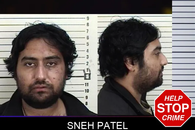 Sneh Patel mugshot – Camden County , Georgia Sneh Patel mugshot