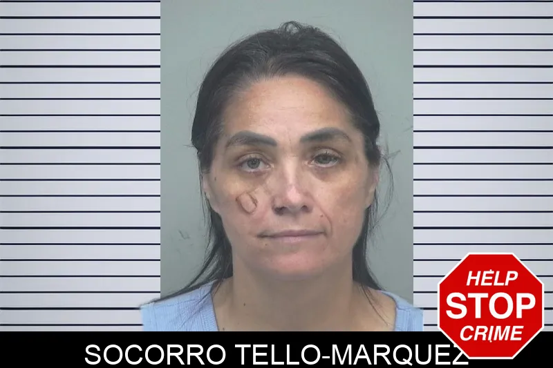 Socorro Tello-Marquez mugshot – Gwinnett County , Georgia Socorro Tello-Marquez mugshot