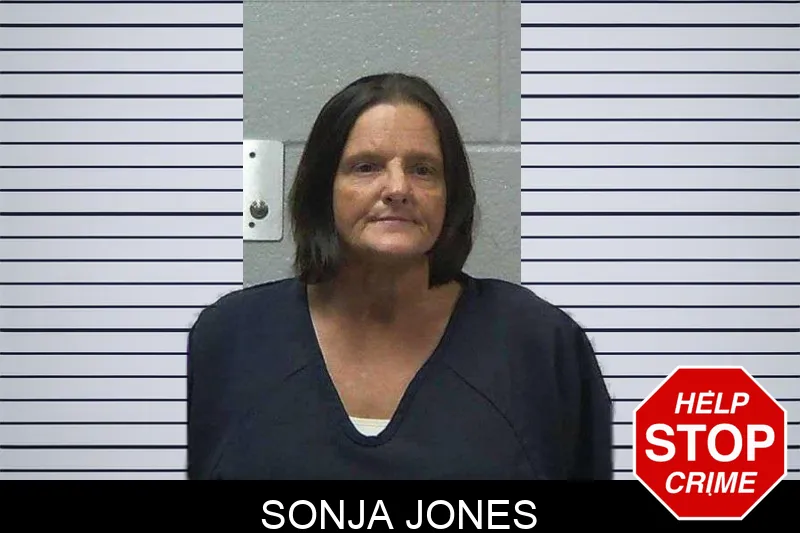 Sonja Jones mugshot – Gilmer County , Georgia Sonja Jones mugshot