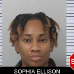 Sophia Ellison mugshot – Mcintosh County , Georgia Sophia Ellison mugshot