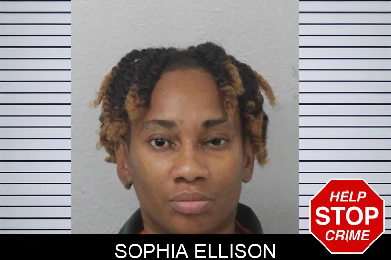 Sophia Ellison mugshot – Mcintosh County , Georgia Sophia Ellison mugshot