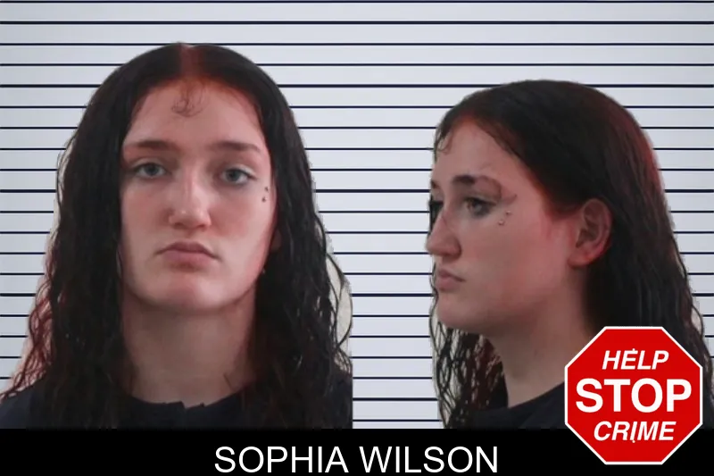 Sophia Wilson mugshot