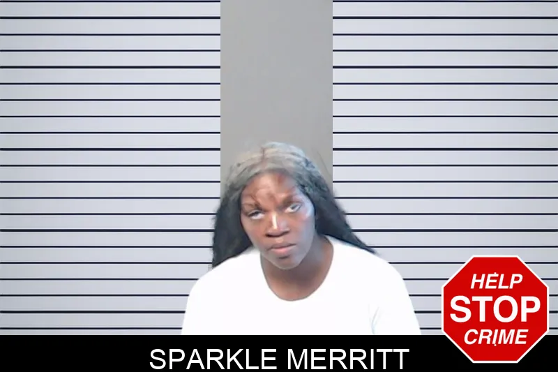 Sparkle Merritt mugshot – DeKalb County , Georgia Sparkle Merritt mugshot