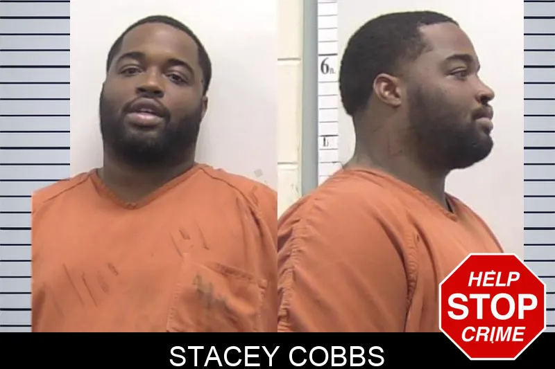 Stacey Cobbs mugshot – Clarke County , Georgia Stacey Cobbs mugshot