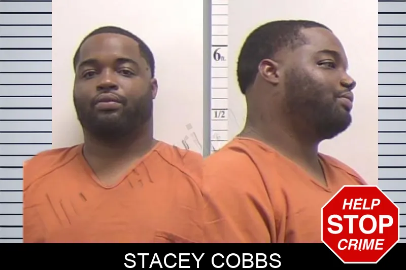 Stacey Cobbs mugshot – Clarke County , Georgia Stacey Cobbs mugshot