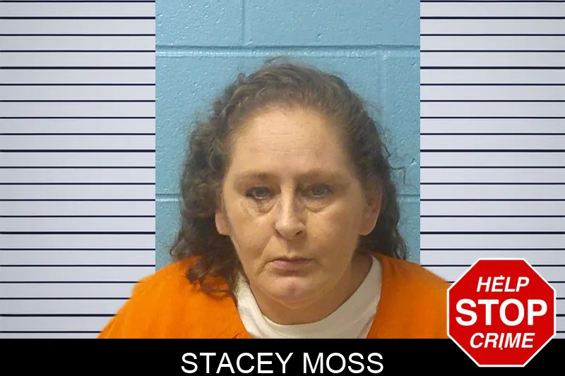 Stacey Moss mugshot – Franklin County , Georgia Stacey Moss mugshot