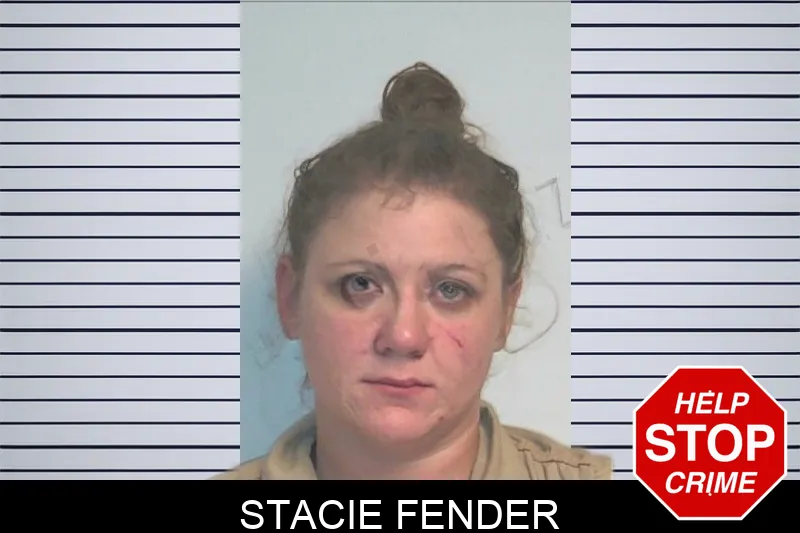 Stacie Fender mugshot – Berrien County , Georgia Stacie Fender mugshot