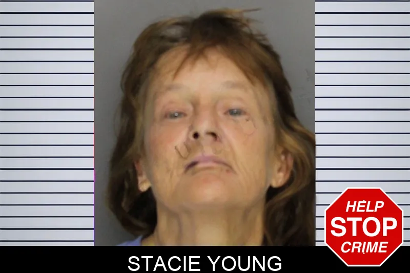 Stacie Young mugshot – Cobb County , Georgia Stacie Young mugshot